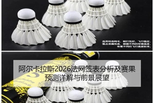 a-er-ka-la-si-fa-wang-qian-biao-fen-xi-ji-sai-guo-yu-ce-xiang-jie-yu-qian-jing-zhan-wang-2-399.jpg